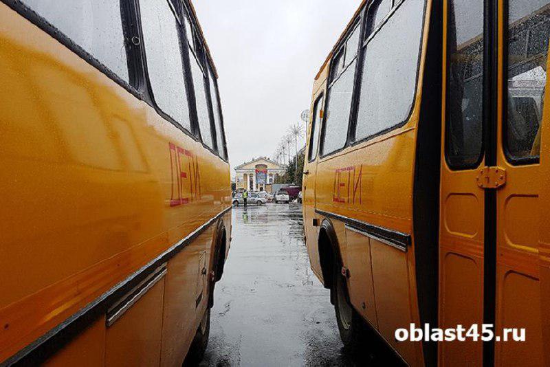 Нашлись деньги на автобусы для школьников Курганской области