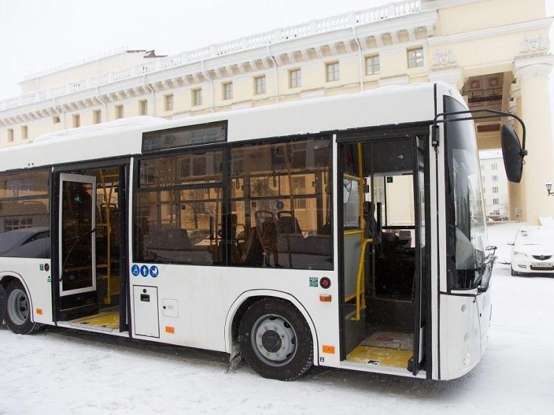 Нижний Тагил выбирает модель новых автобусов